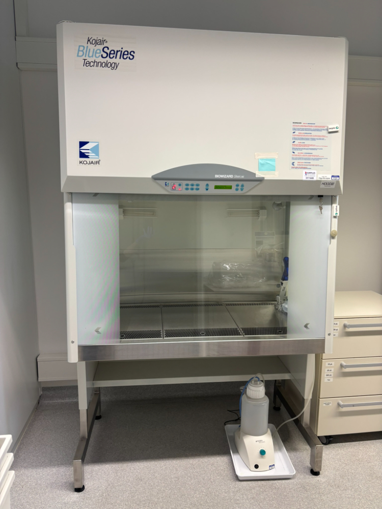 Image of Kojair BioWizard Silver SL-130 Blue Series Class II Biosafety Cabinet